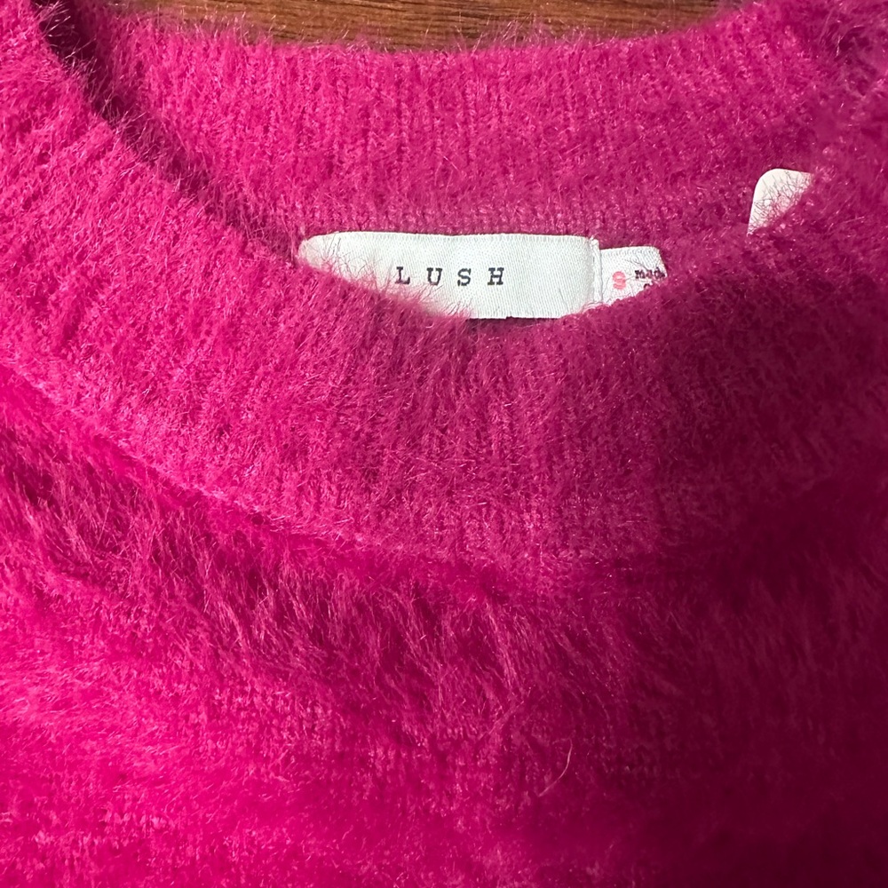 NWT Lush Crop Sierra Balloon Sleeved Sweater
